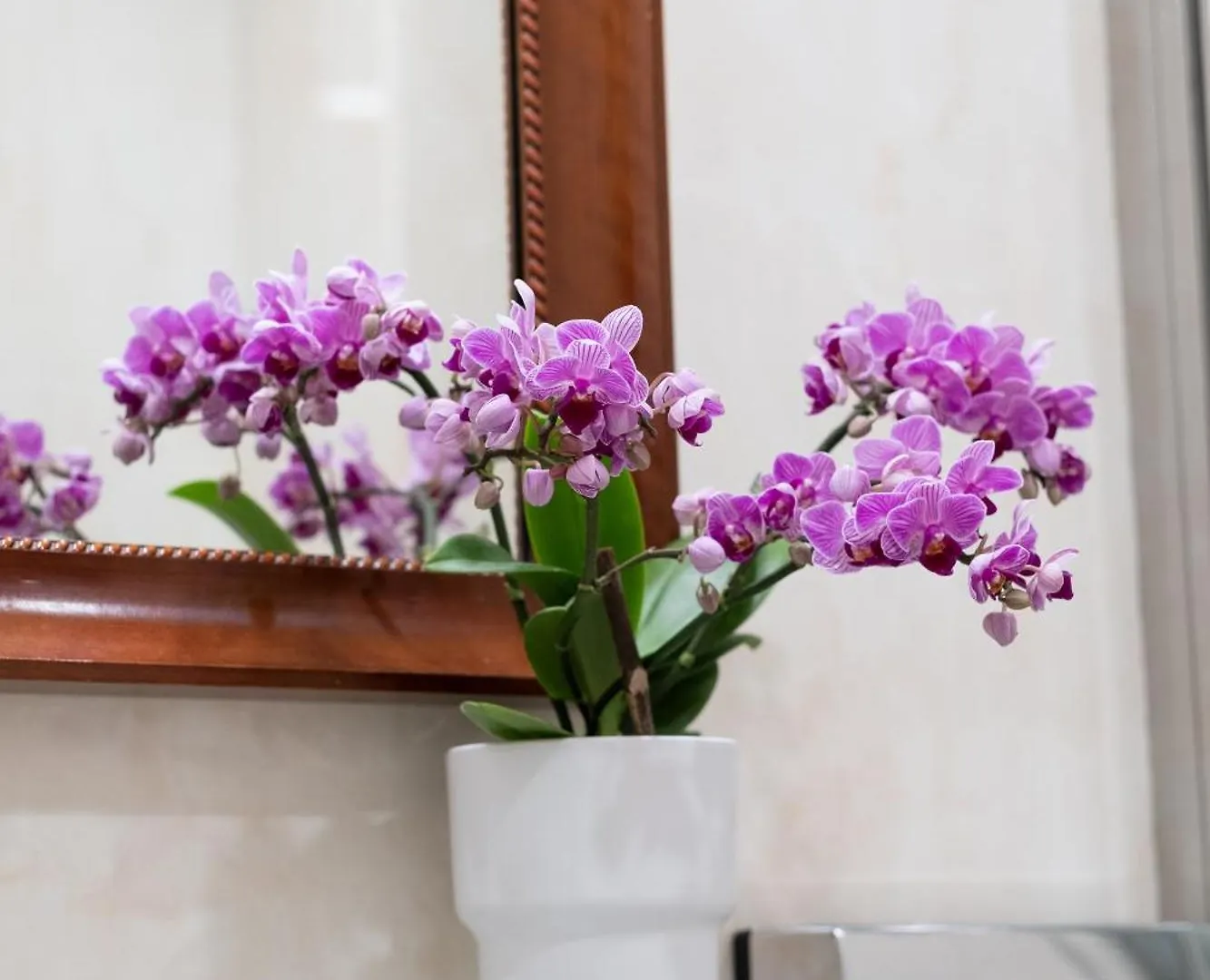 Palazzo Schiavoni Residenza D'Epoca & Suite-Apartments Venecia
